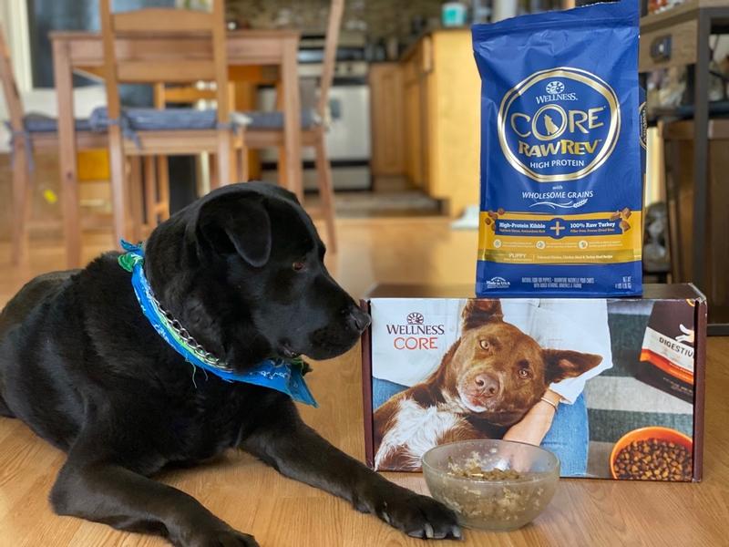 Core dog food coupon best sale