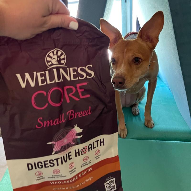 Wellness core small outlet breed puppy reviews