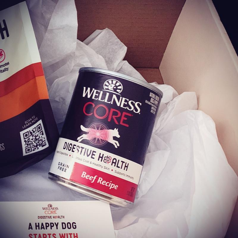 Wellness CORE Digestive Health Beef Wellness Pet Food