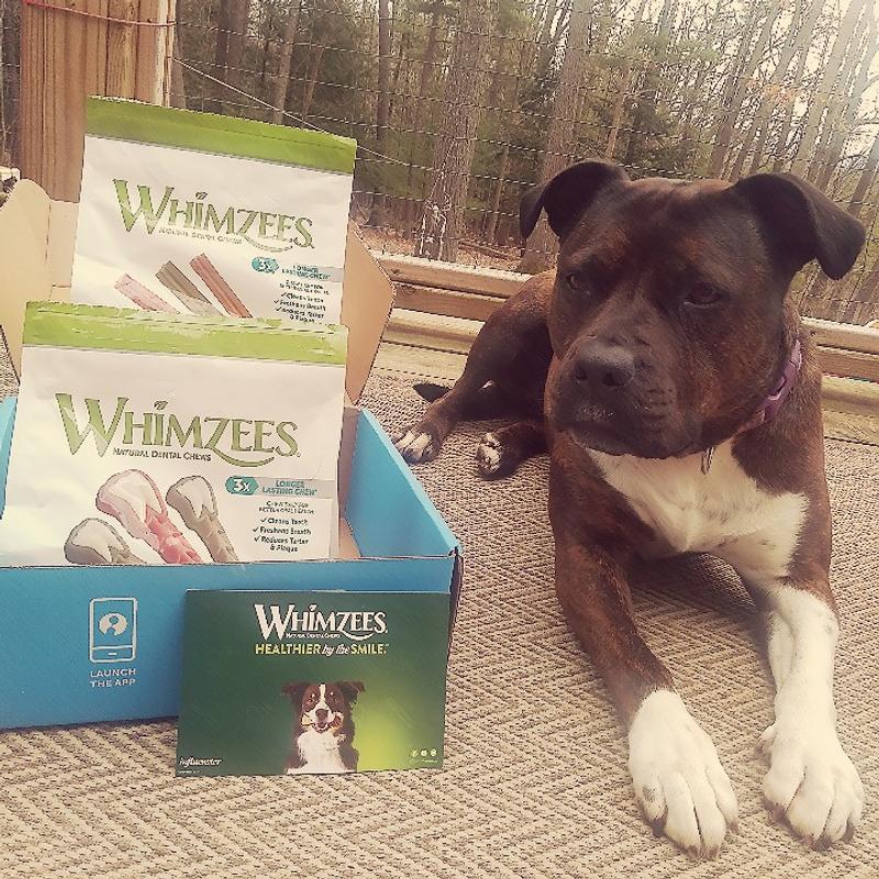 WHIMZEES Brushzees Wellness Pet Food