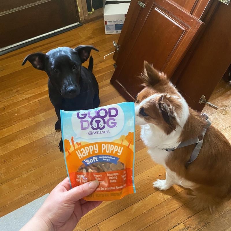 Good Dog Happy Puppy Soft Treats Lamb Salmon Wellness Pet Food