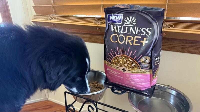 CORE+ Wholesome Grains Sensitive Skin Stomach Salmon Rice