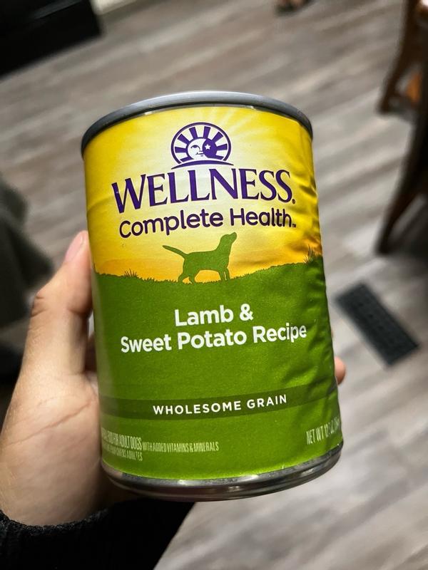 Wellness Complete Health Pate Lamb Sweet Potato Wellness Pet Food