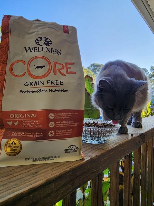 Wellness CORE Grain-Free Turkey, Turkey Meal & Duck Dry Cat Food