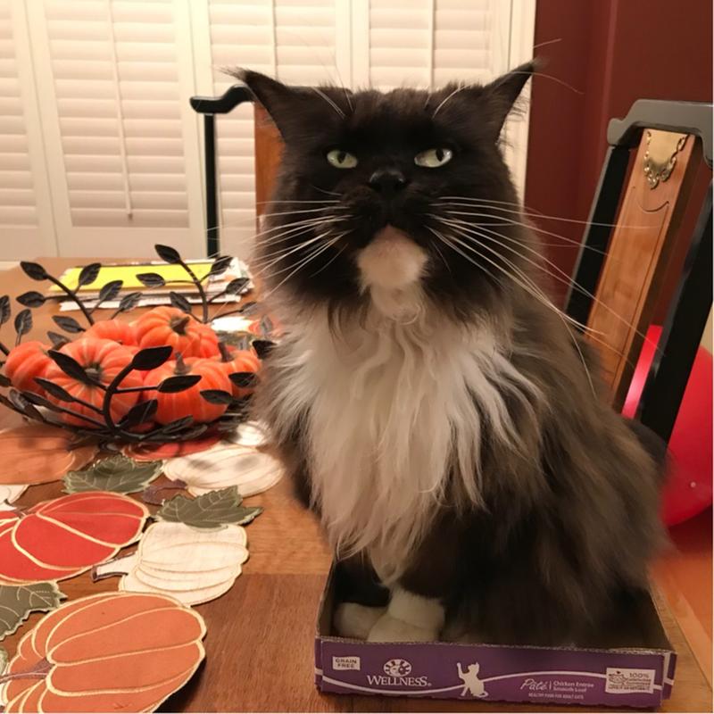 Need more food!