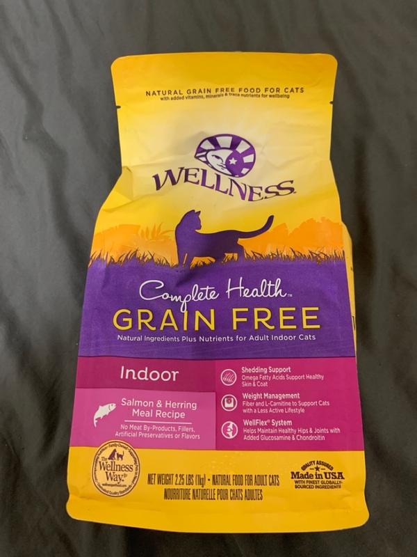 Wellness complete health natural grain free dry hotsell cat food