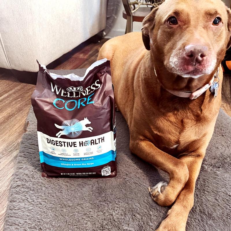 Wholesome Grains Core Rev Dog Food Core Raw Rev Cheap