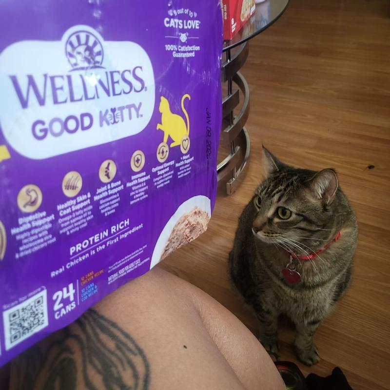 Wellness® Good Kitty® Paté 24-Count Variety Pack