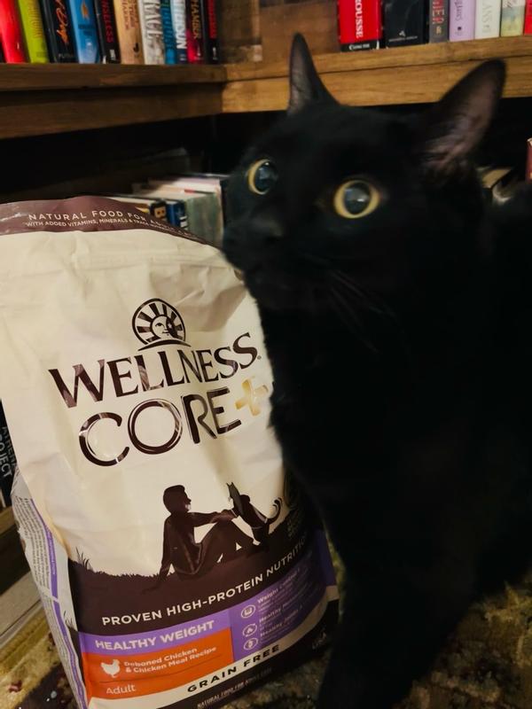 Wellness core senior cat food sales