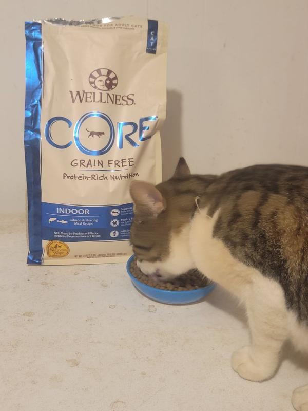 Wellness core indoor outlet cat food