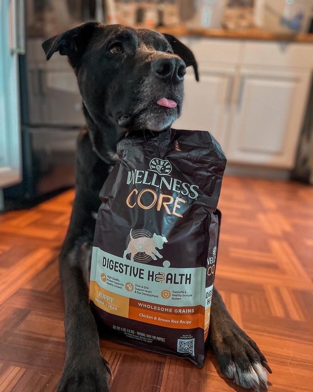 Wellness CORE Digestive Health Puppy Food Chicken Brown Rice