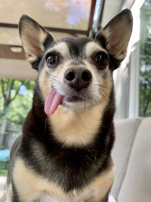 No teeth!