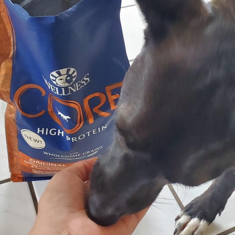 Wellness large breed puppy review sales