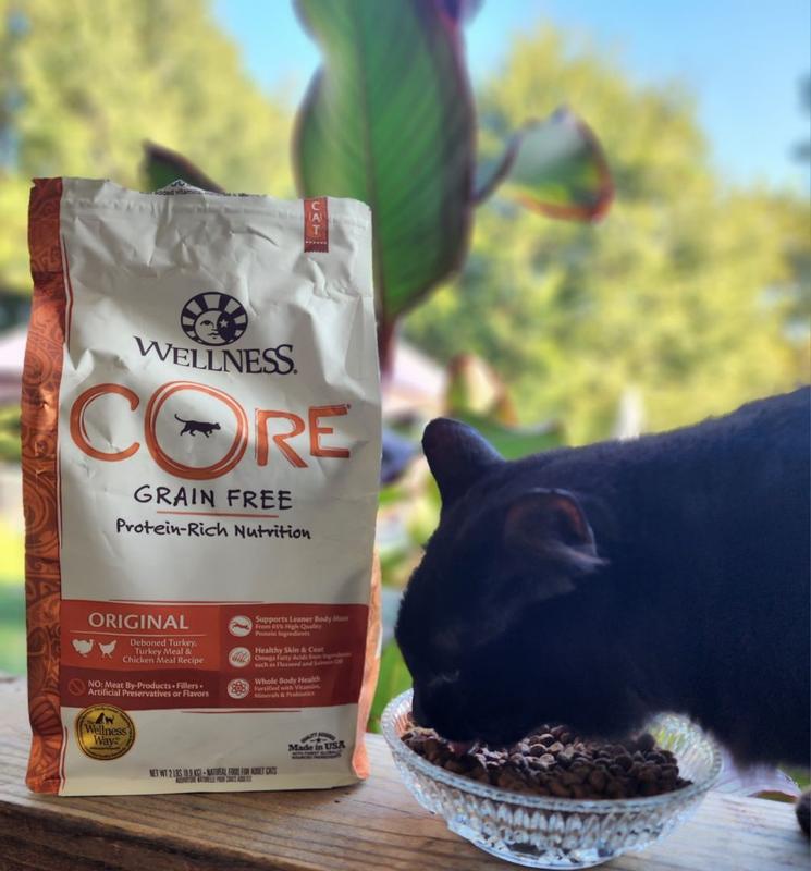 Core air dried cat food hotsell