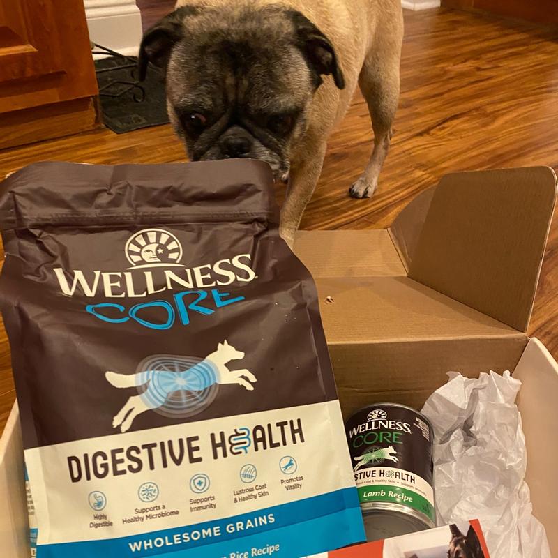 Wellness large breed top puppy review