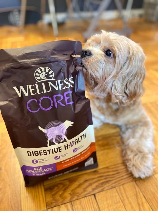 Wellness CORE Digestive Health Age Advantage Chicken Brown Rice