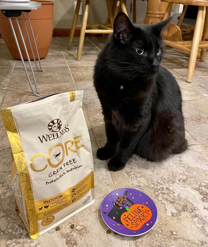 Core cat food reviews best sale