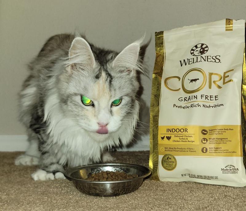 Core indoor shop cat food