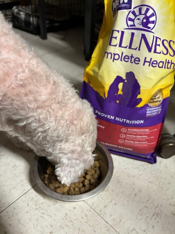 Wellness Complete Health Grained Beef Barley Wellness Pet Food