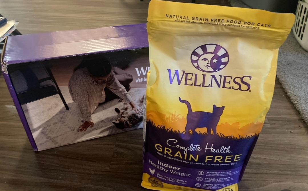 Wellness healthy shops weight cat food