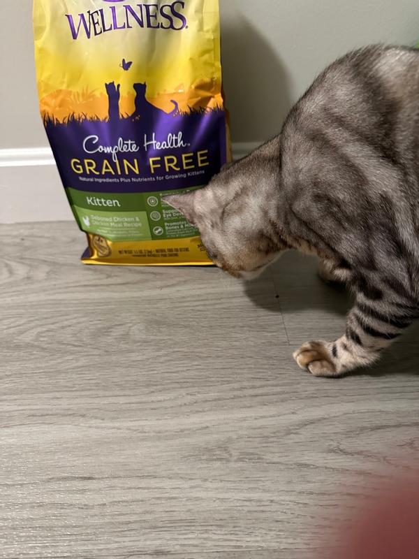 Wellness grain hotsell free kitten food