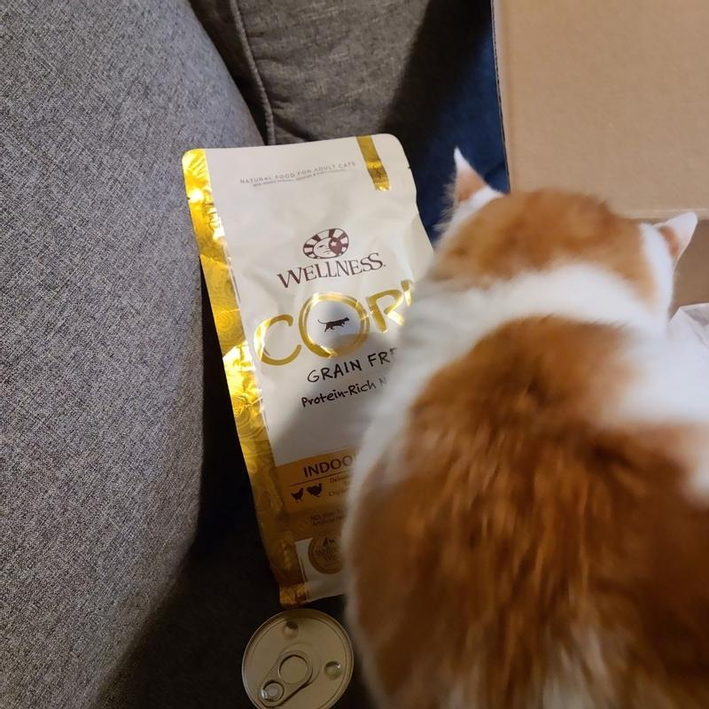 Wellness core canned outlet cat food reviews