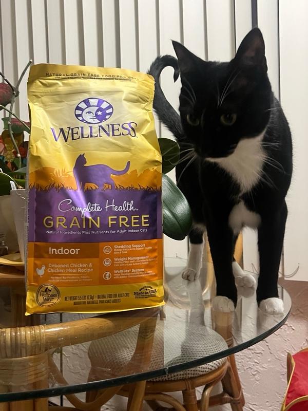 Wellness complete health 2024 indoor cat food