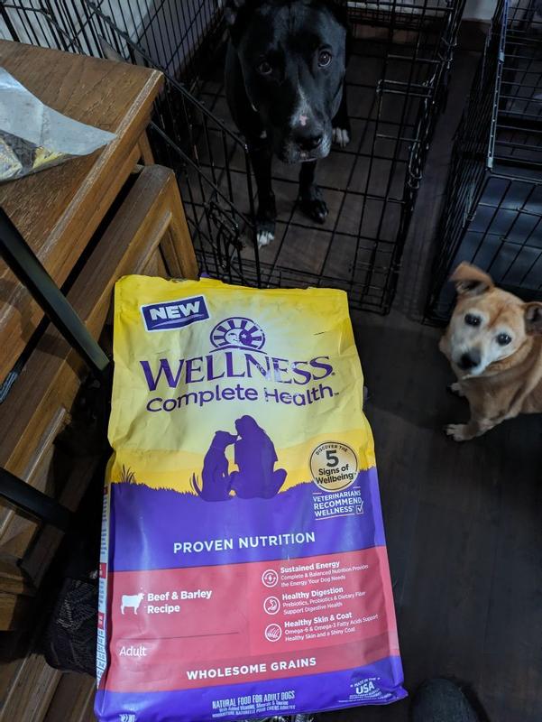 Wellness Complete Health Grained Beef Barley Wellness Pet Food