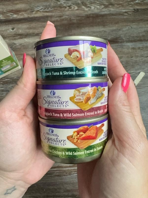 Wellness CORE Signature Selects Variety Pack Seafood Variety Pack Wellness Pet Food