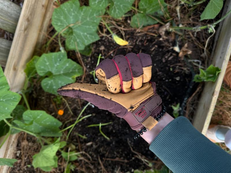 Women's ComfortHyde® Grain Leather Hybrid Adjustable Wrist | Wells