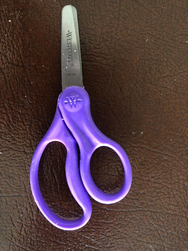  Westcott 15968 Right-Handed Scissors, Kids' Scissors, Ages  4-8, 5-Inch Blunt Tip, Blue : Toys & Games