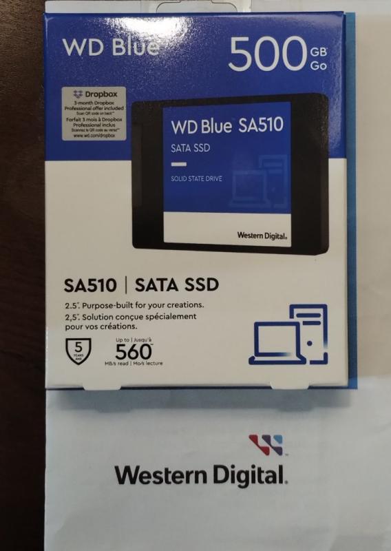 Western Digital 250GB WD Blue SA510 SATA Internal Solid State Drive SSD -  SATA III 6 Gb/s, M.2 2280, Up to 555 MB/s - WDS250G3B0B