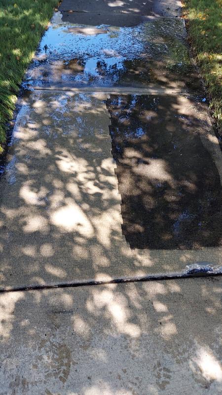 Heavy sap on sidewalk.