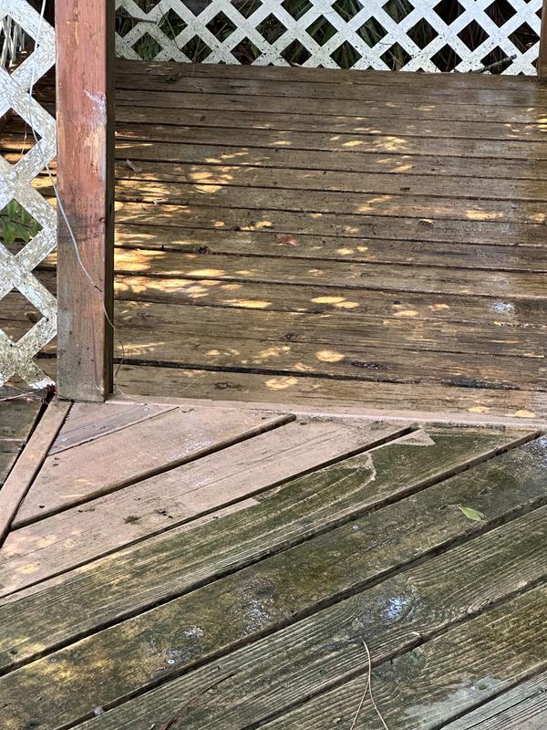 Before and after moss