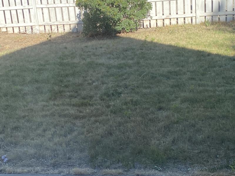 Review photo 5.