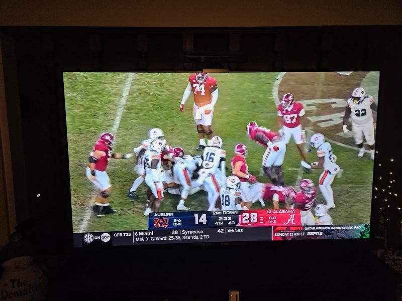 Really great picture!