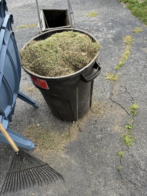 Both from half of the lawn