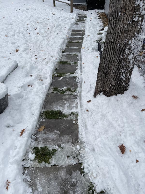 Walkway with pavers and grass