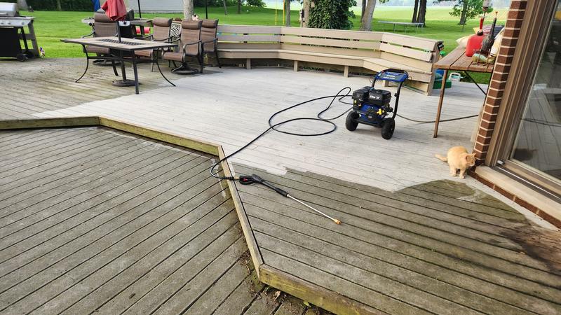 Before and after. (Cats name is Oz. Lol)