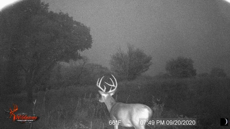 Photo - commentaire&nbsp;5.