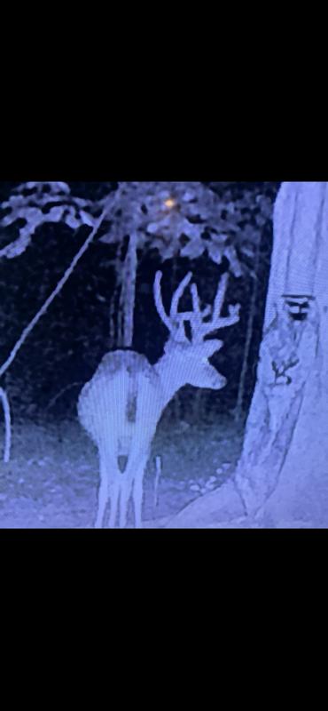 Photo - commentaire&nbsp;4.