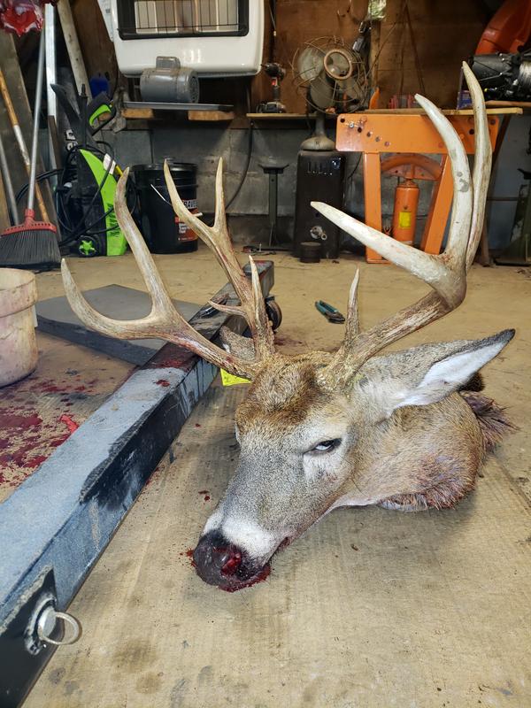 October 20th 2020 archery 10 point