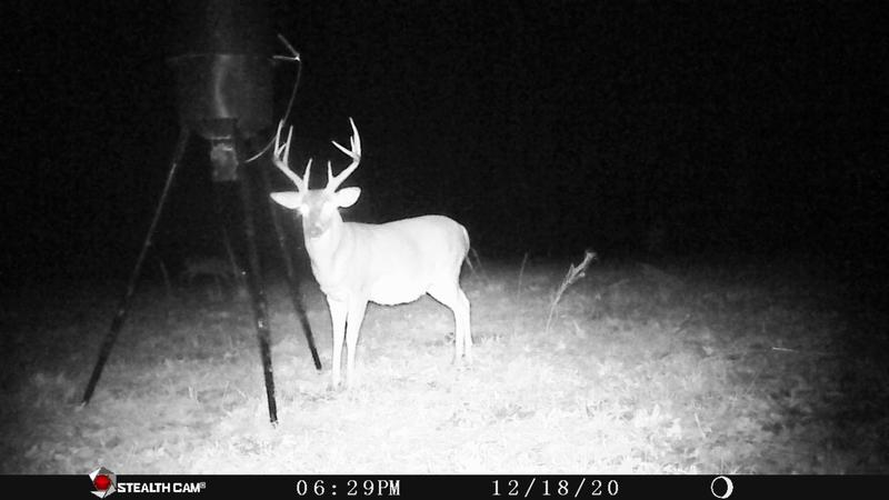 Photo - commentaire&nbsp;1.