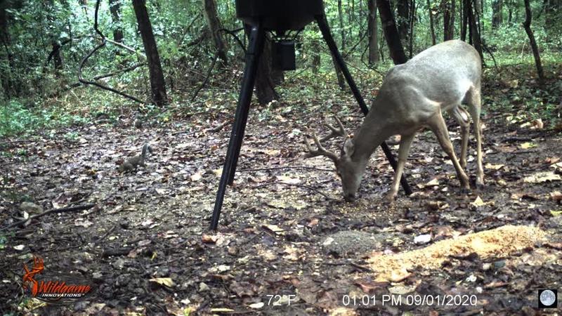 Photo - commentaire&nbsp;7.