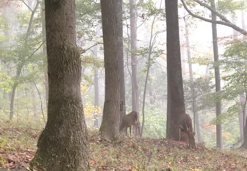 This stuff is Amazing