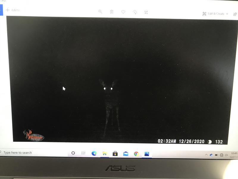 Best Picture I Have got at Night