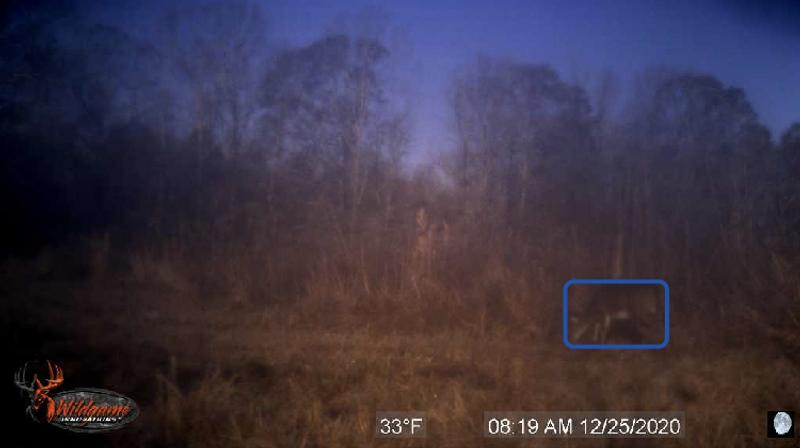 Photo - commentaire&nbsp;3.