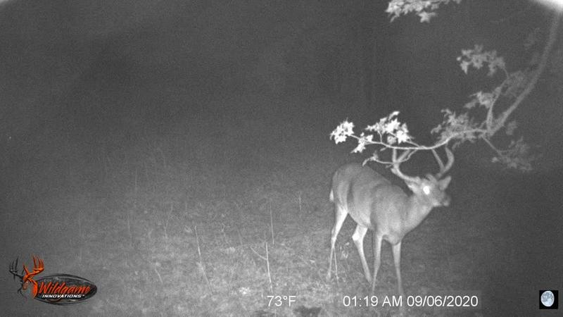 Photo - commentaire&nbsp;8.