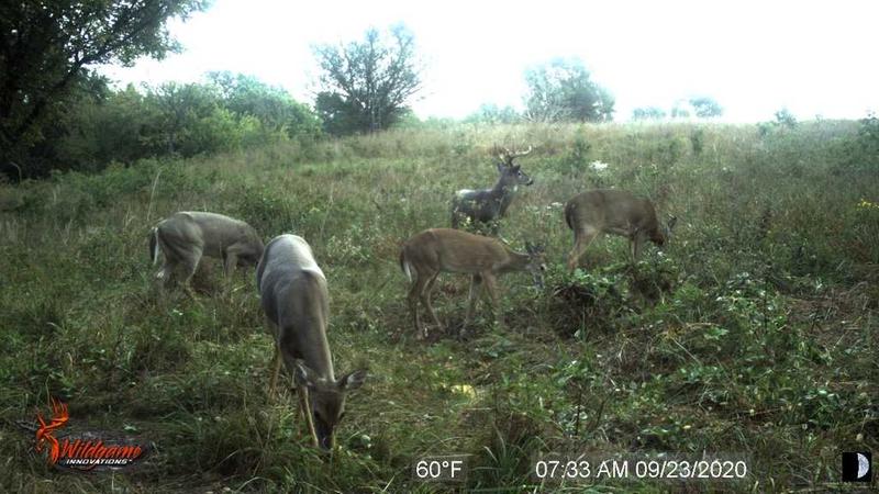 Wish I Was In The Stand!