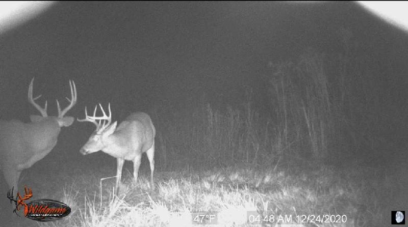 Photo - commentaire&nbsp;2.